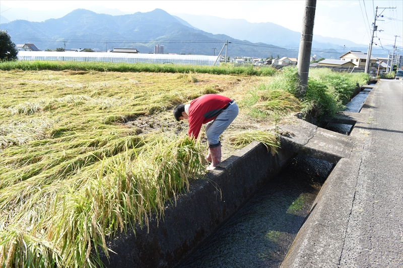 有限会社しずく風景