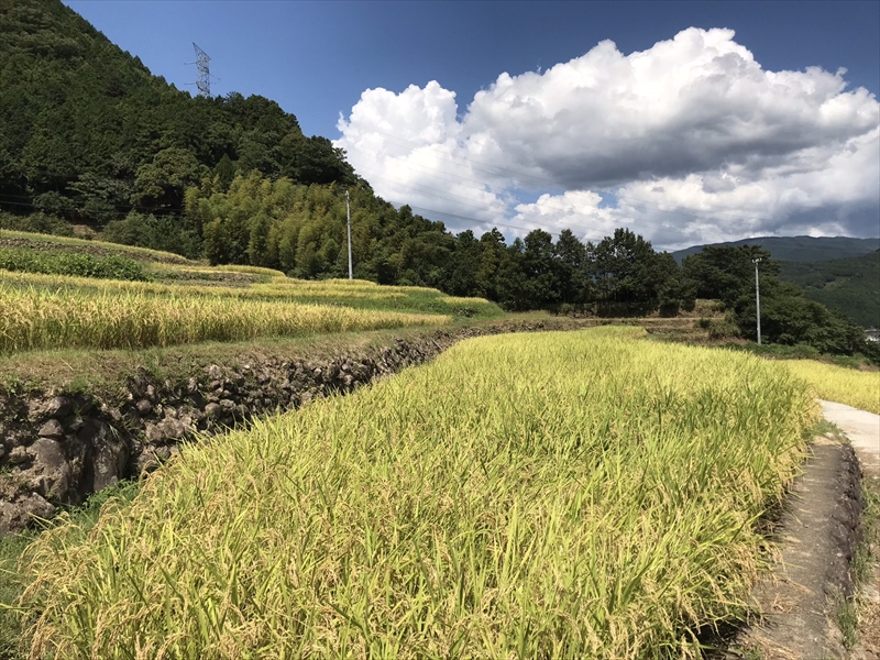 有限会社しずく風景